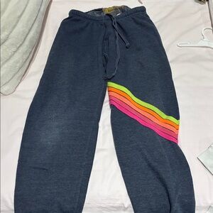 Aviator Nation Navy Joggers with Vibrant Stripes